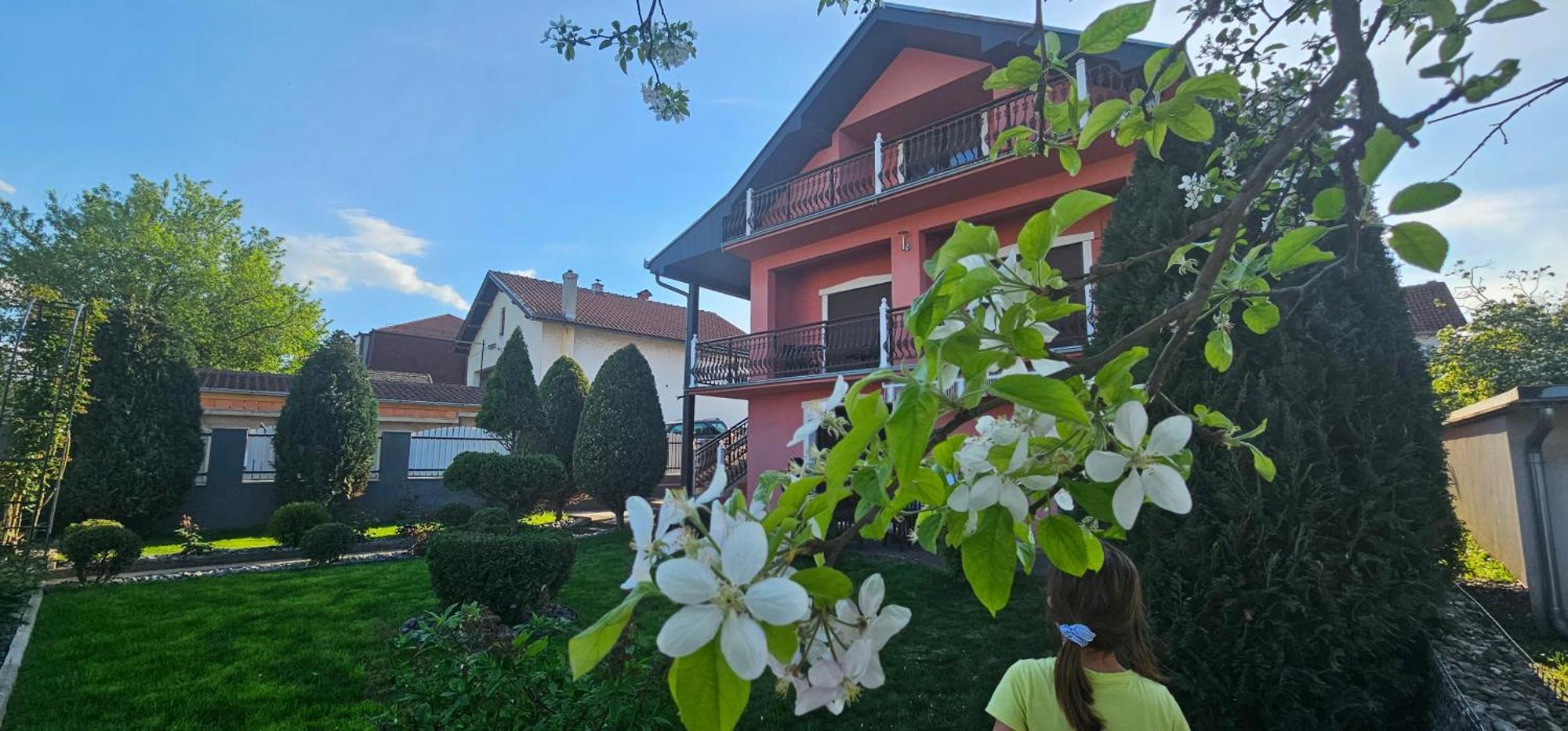 Guest House Lona Golubac Exteriér fotografie